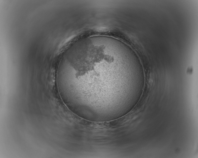 X0000113591301200910021707