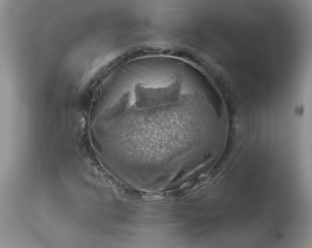 X0000113591302200910021707