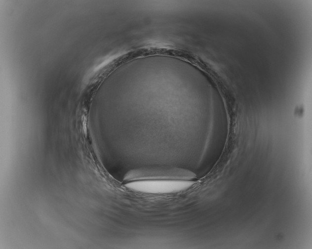 X0000113591303200910021707