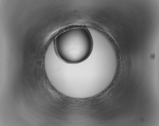 X0000113591304200910021707