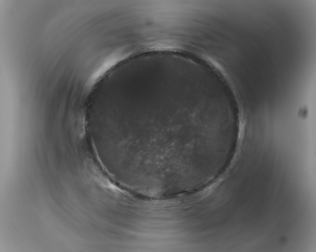 X0000113591306200910021707