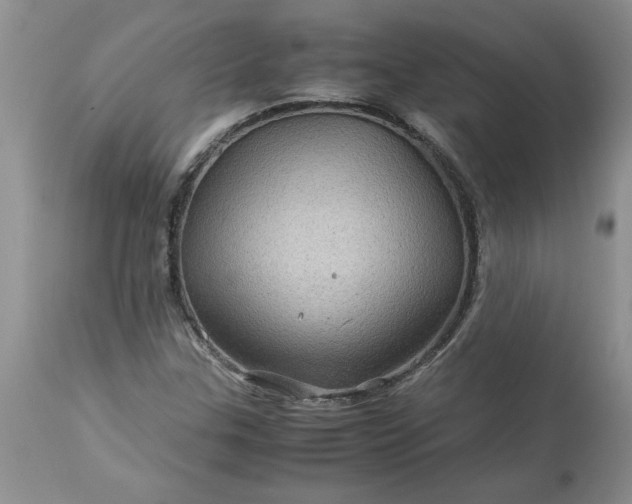 X0000113591307200910021707