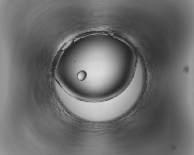 X0000113591308200910021707