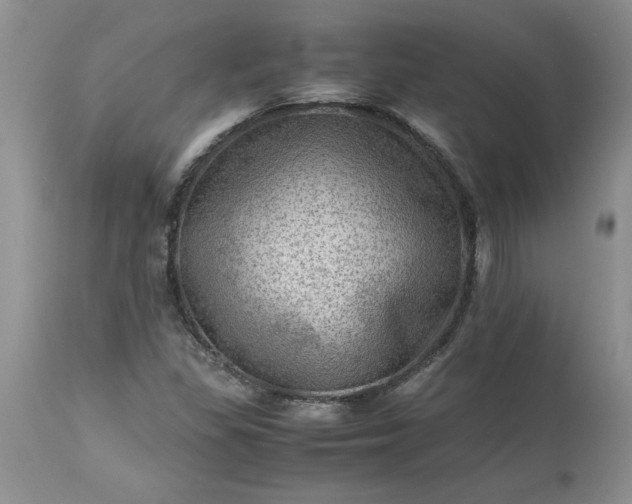 X0000113591309200910021707