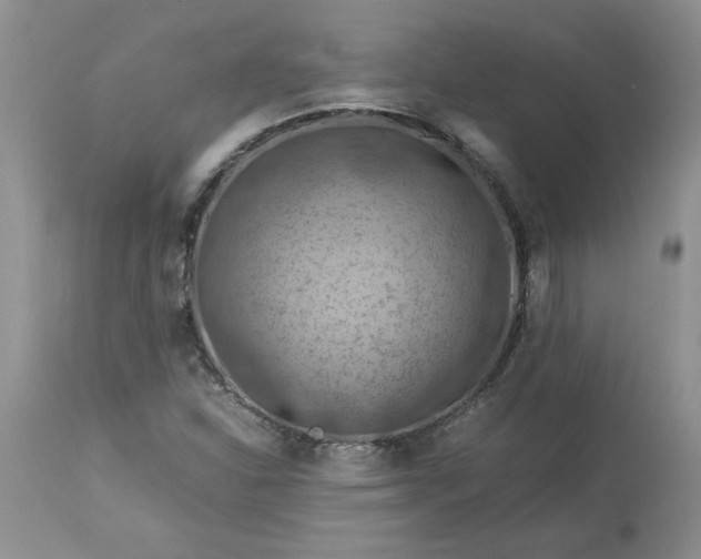 X0000113591310200910021707