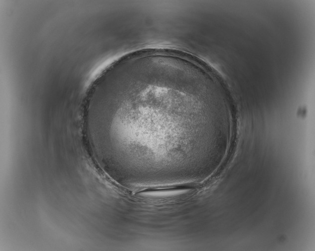 X0000113591311200910021707