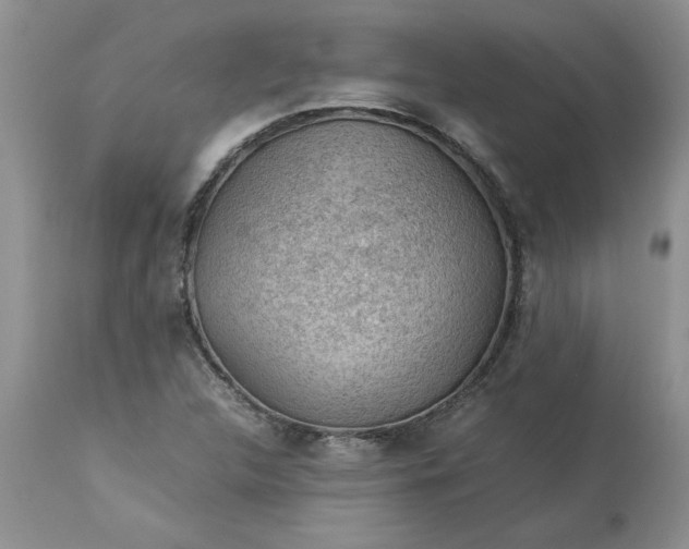 X0000113591312200910021707