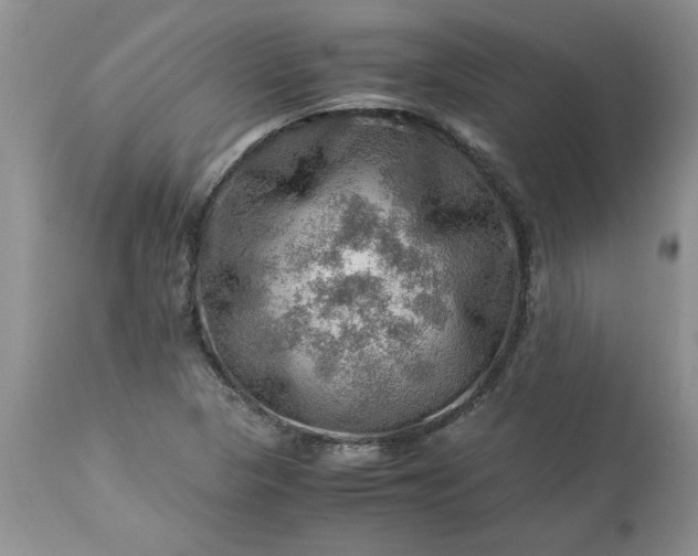 X0000113591313200910021707