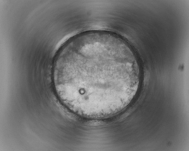 X0000113591314200910021707