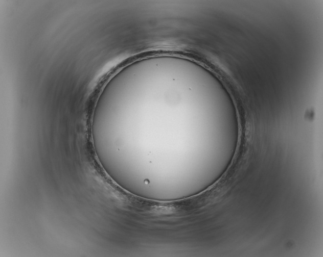 X0000113591315200910021707