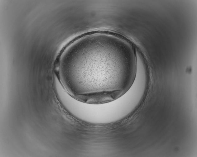 X0000113591316200910021707