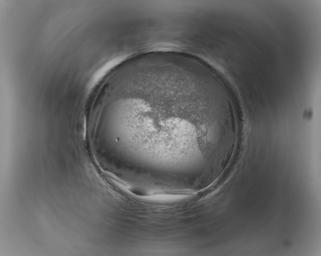 X0000113591317200910021707