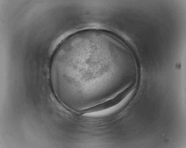 X0000113591318200910021707