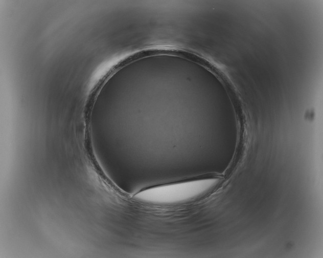 X0000113591319200910021707