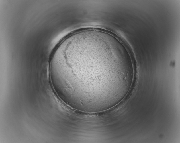 X0000113591320200910021707