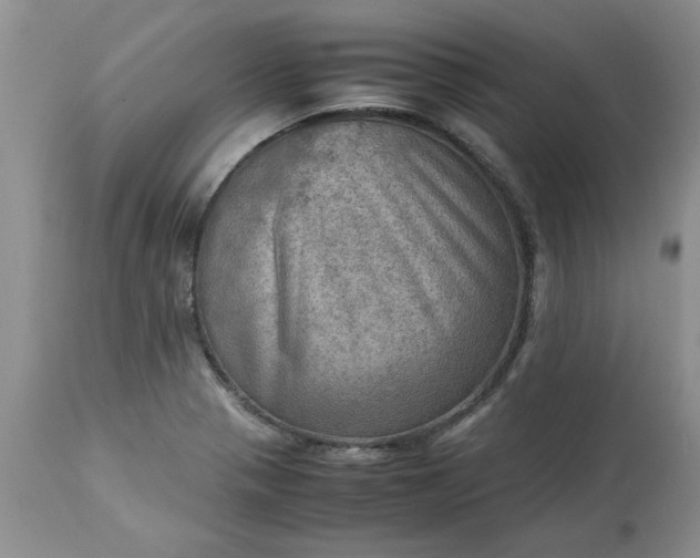 X0000113591321200910021707