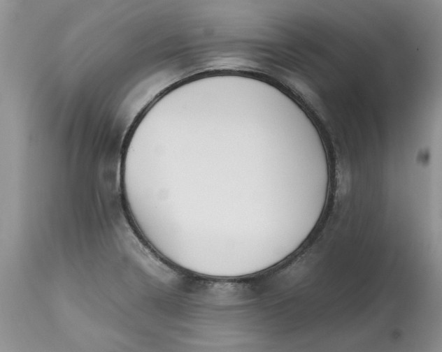 X0000113591322200910021707