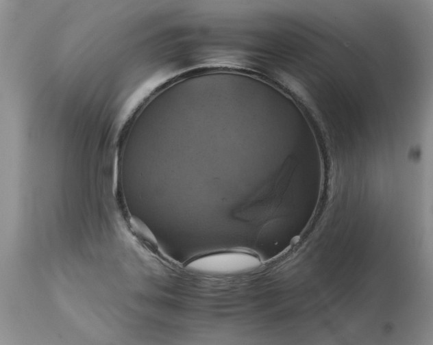 X0000113591323200910021707