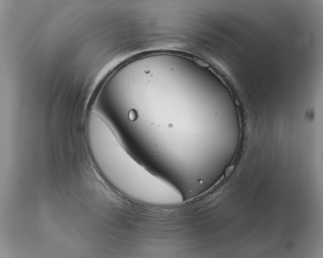 X0000113591324200910021707