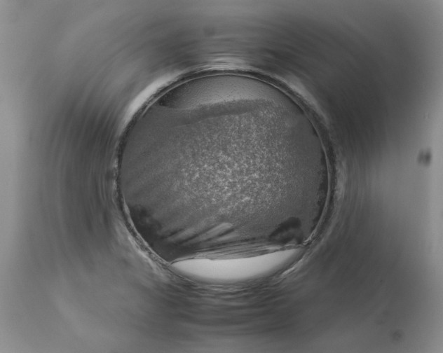 X0000113591325200910021707