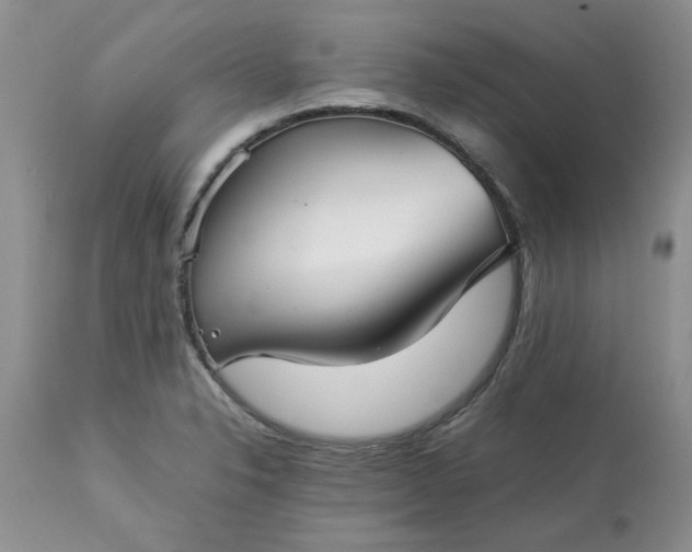 X0000113591326200910021707