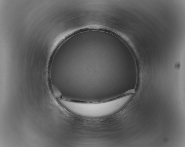 X0000113591327200910021707