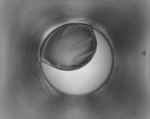 X0000113591328200910021707