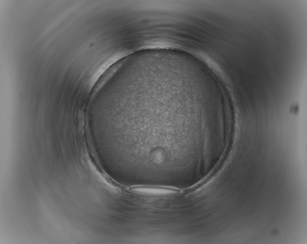 X0000113591329200910021707