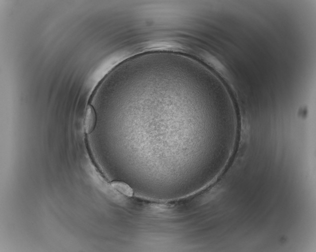 X0000113591330200910021707