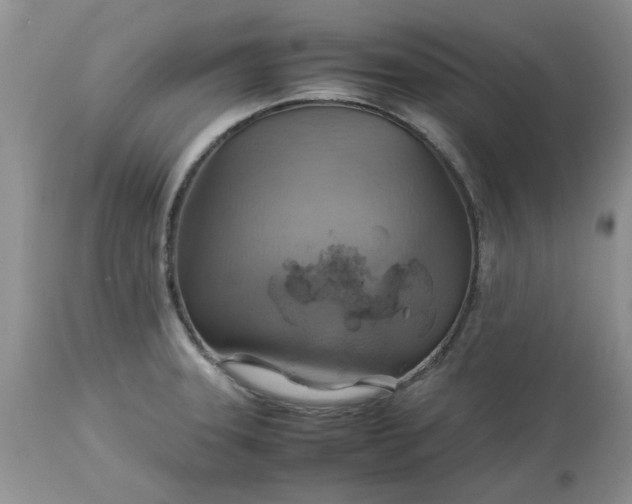 X0000113591331200910021707