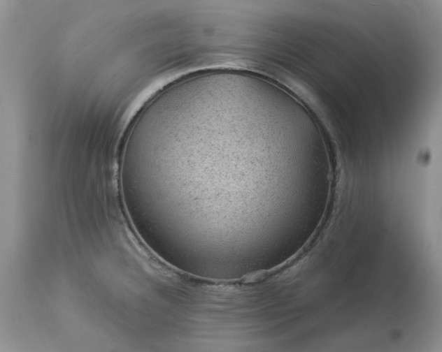 X0000113591332200910021707