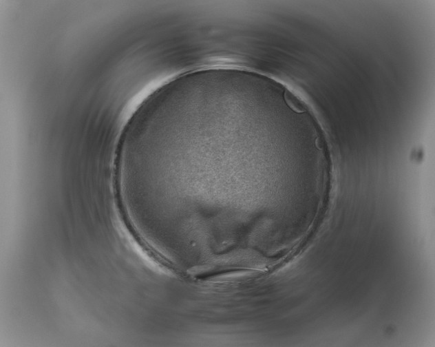 X0000113591333200910021707