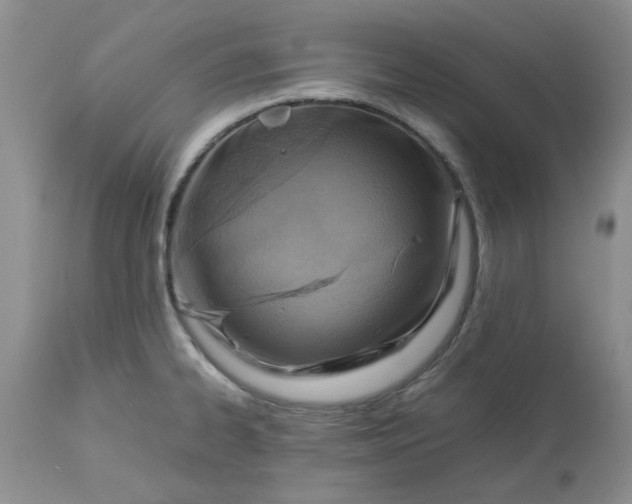 X0000113591334200910021707