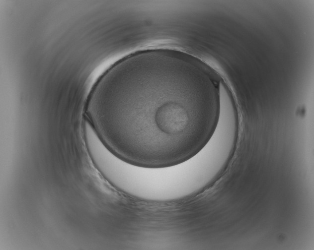 X0000113591336200910021707