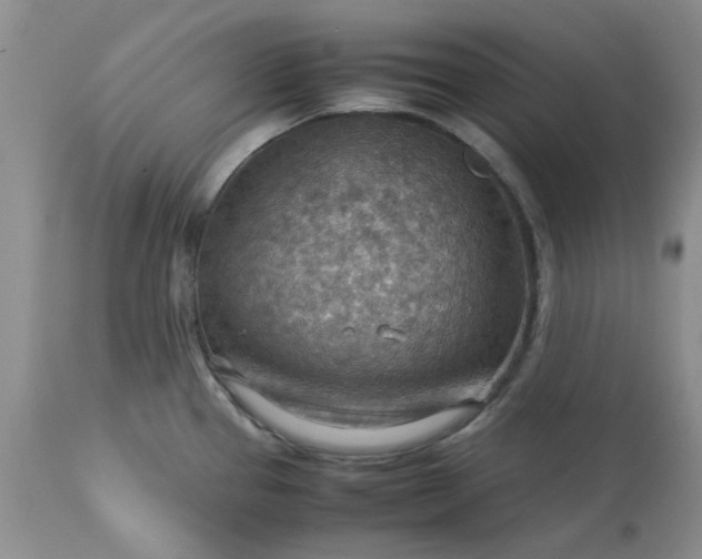 X0000113591337200910021707