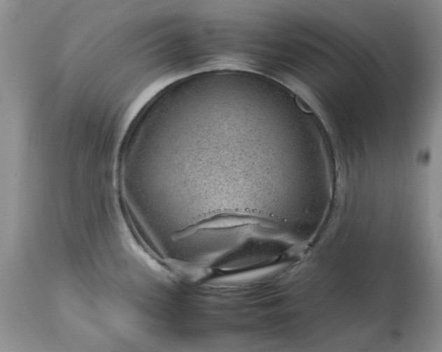 X0000113591339200910021707