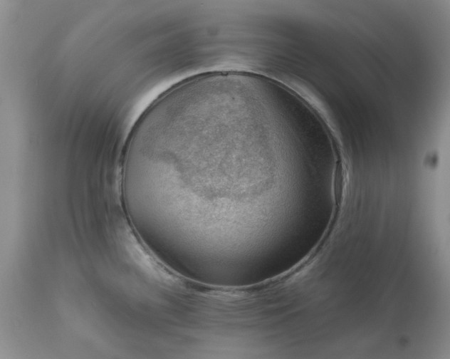 X0000113591340200910021707