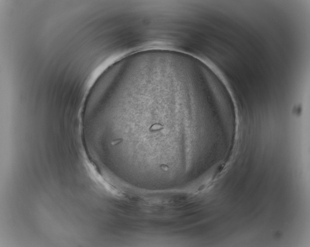 X0000113591341200910021707