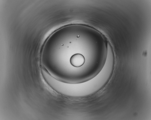 X0000113591342200910021707