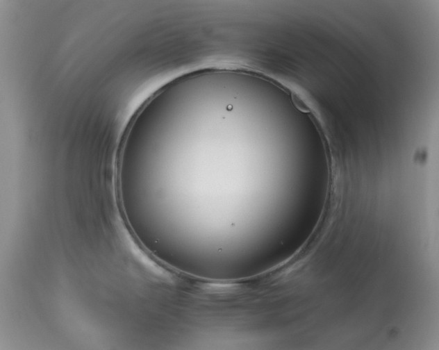 X0000113591343200910021707