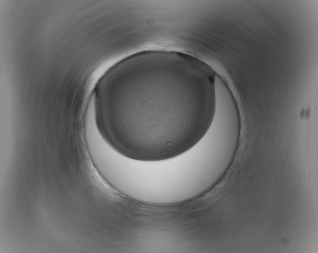 X0000113591344200910021707