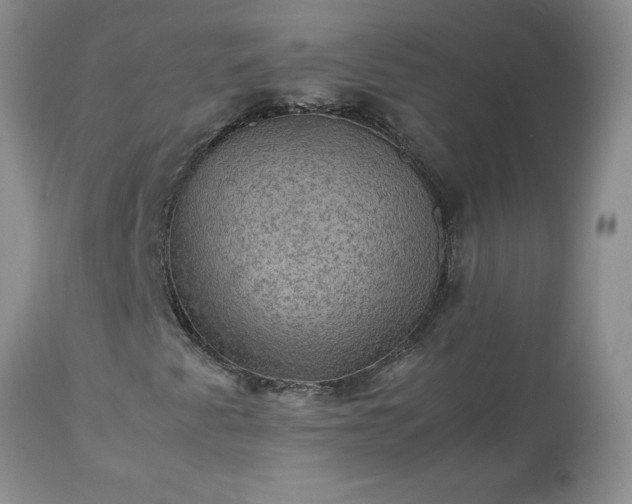 X0000113591345200910021707