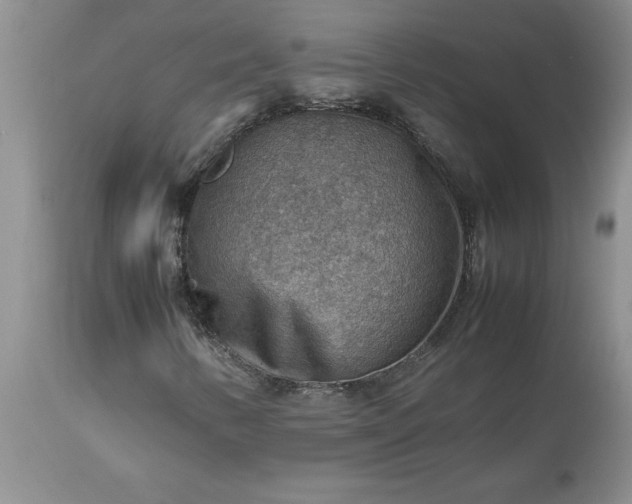 X0000113591346200910021707