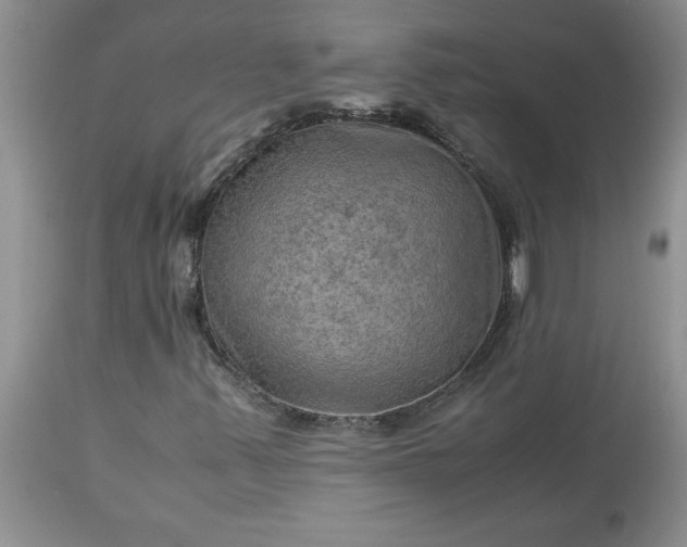 X0000113591347200910021707