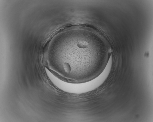 X0000113591348200910021707