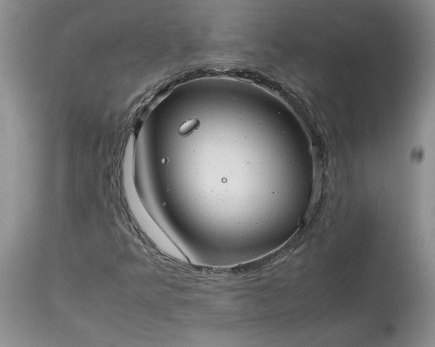 X0000113591349200910021707