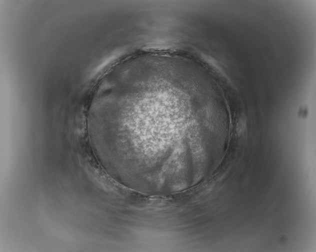 X0000113591350200910021707