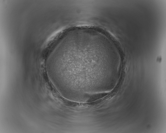 X0000113591351200910021707