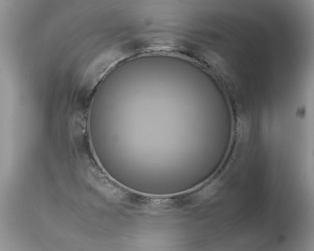 X0000113591353200910021707