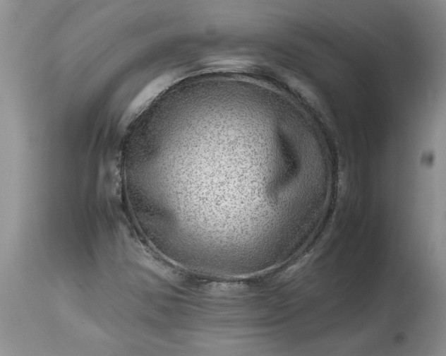 X0000113591354200910021707